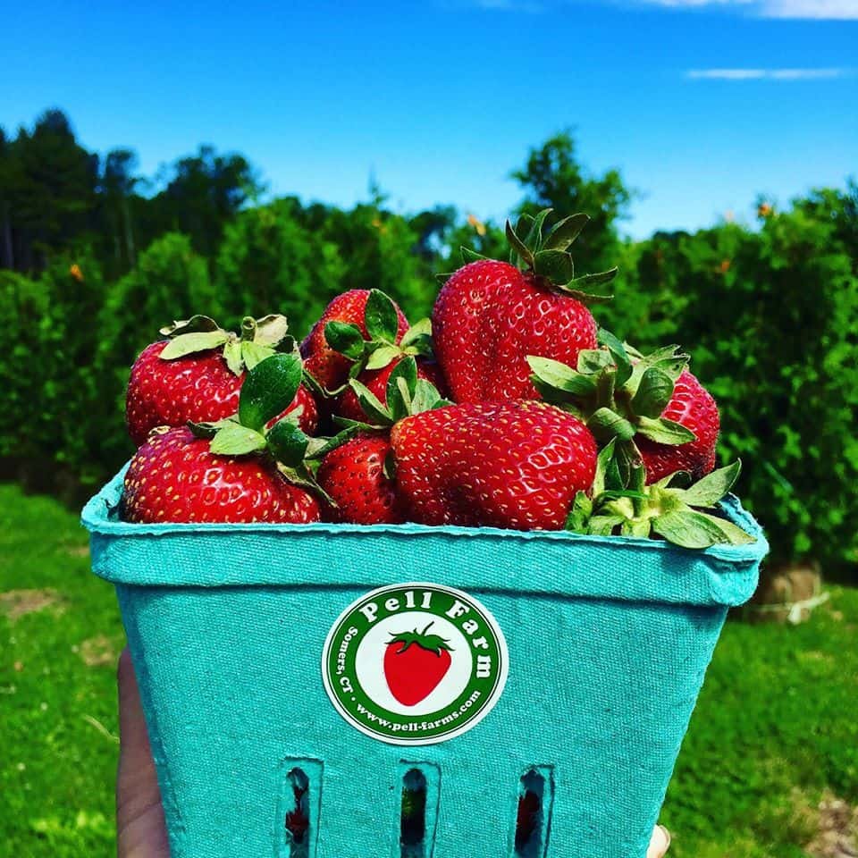 Pell Family Farm