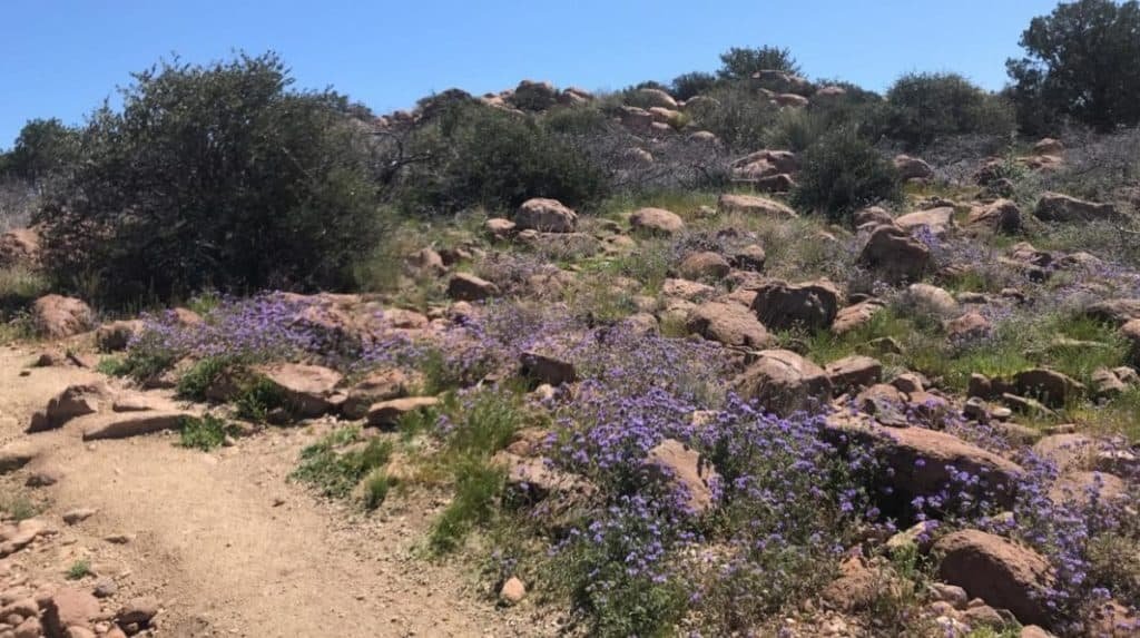 Round Mountain Park