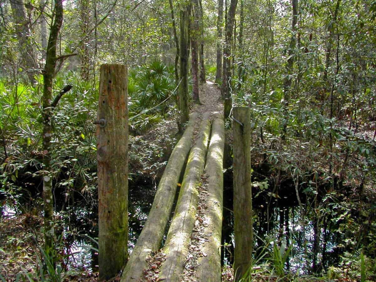 St. Francis Trail