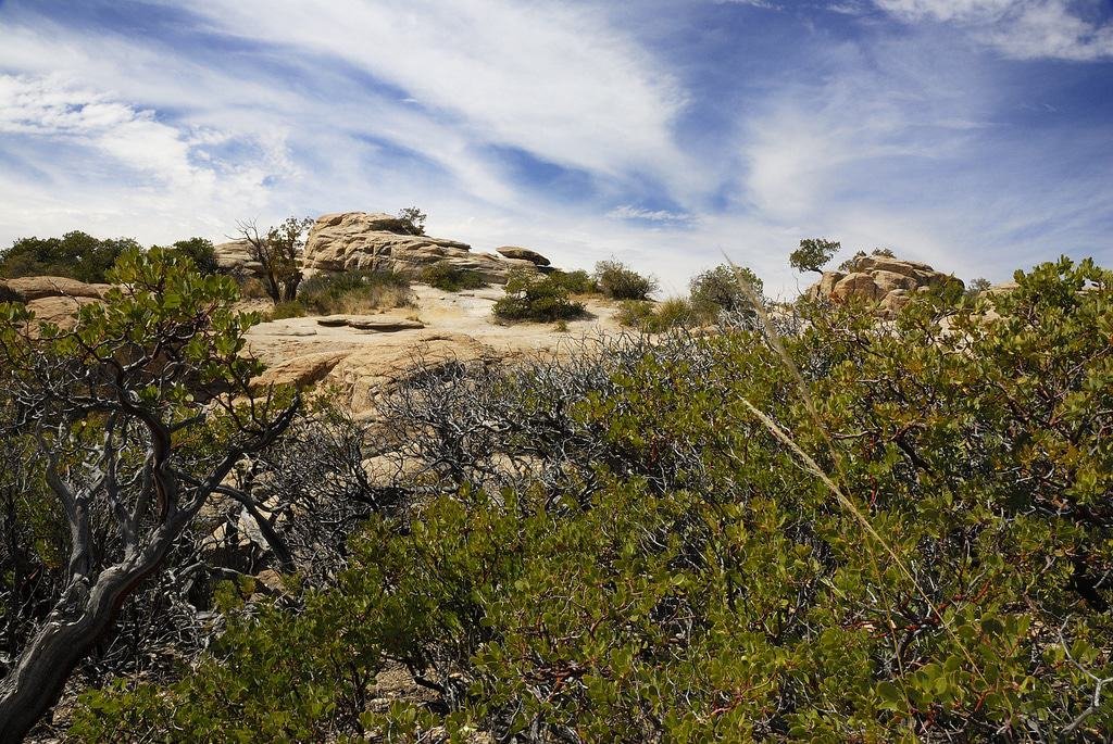 Mt Lemmon, Summerhaven, Arizona