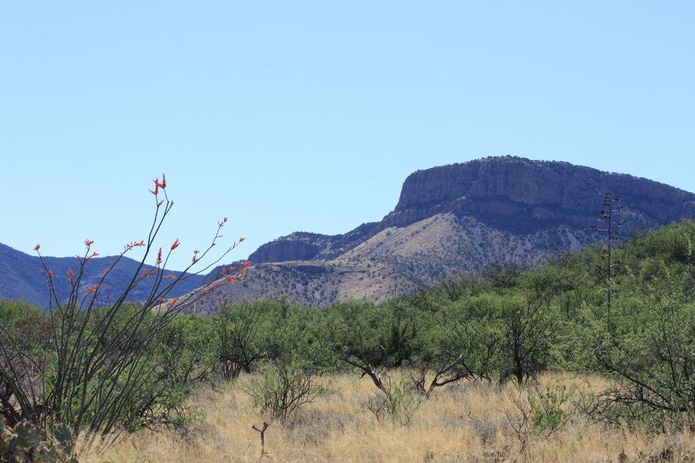 Whetstone Mountains
