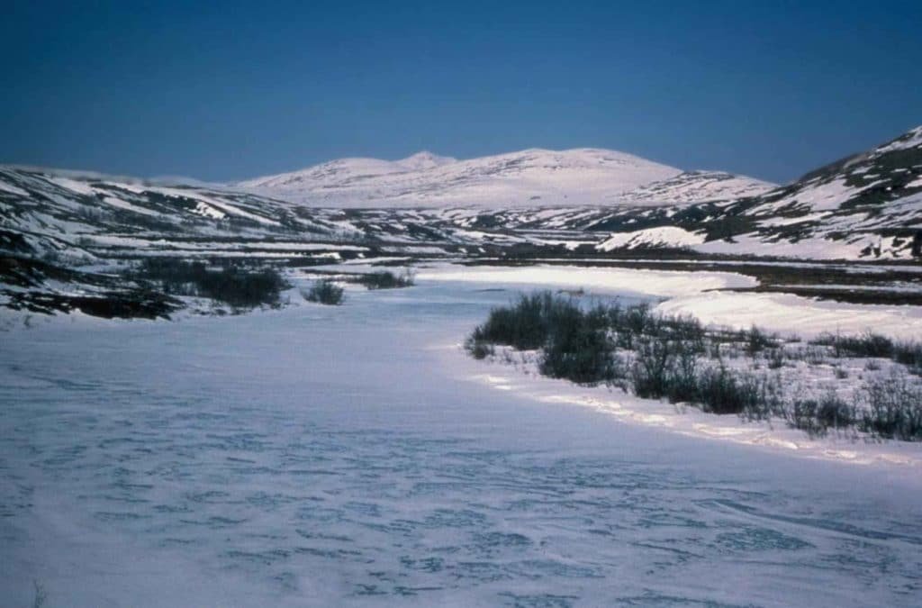 Kisaralik River in Winter