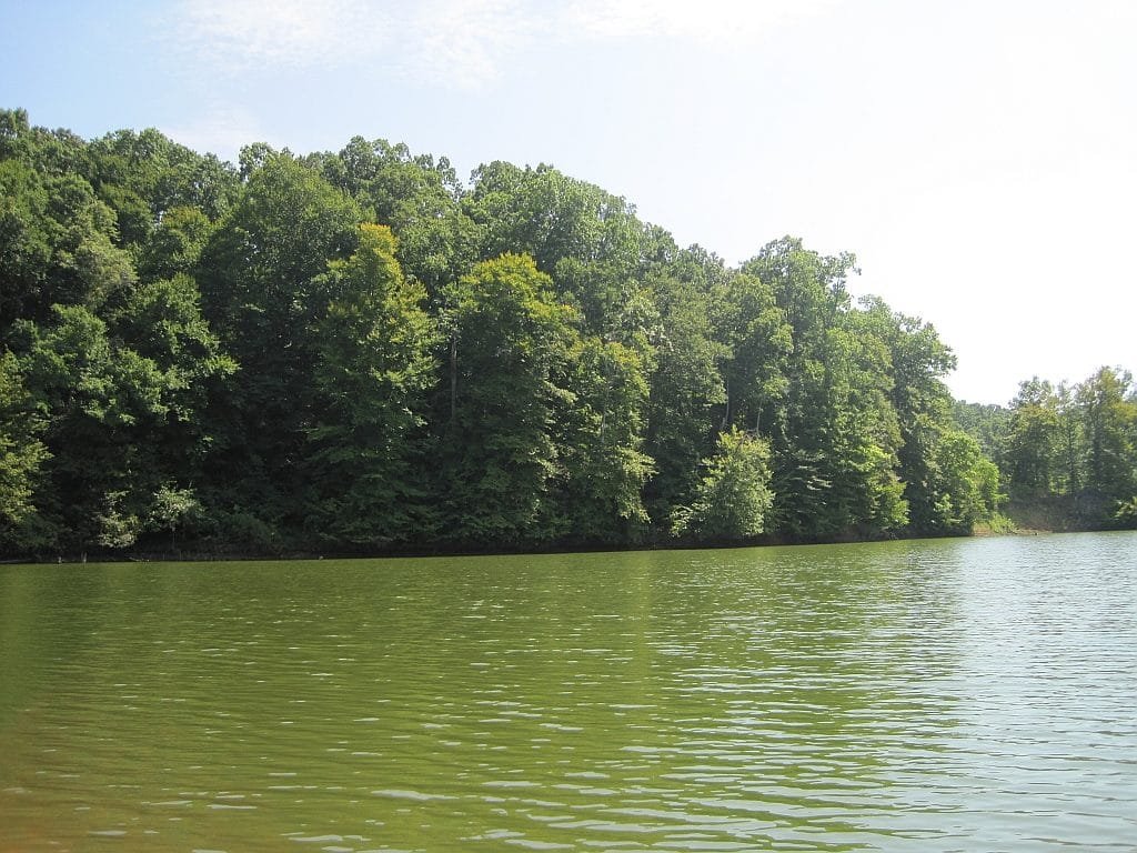 Village Creek State Park, Arkansas