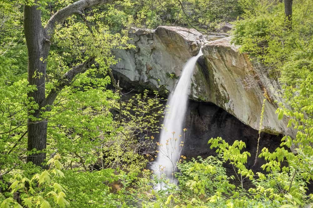 Williamsport Falls