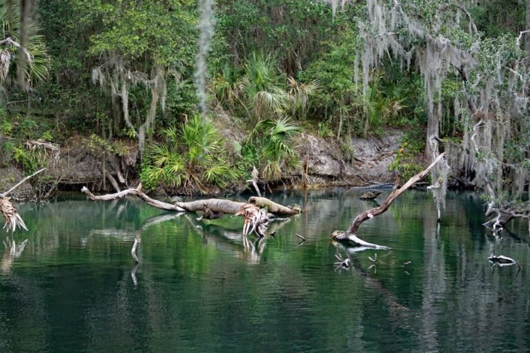 Blue Spring State Park