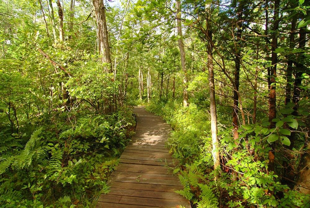 Beaver Lake Nature Center