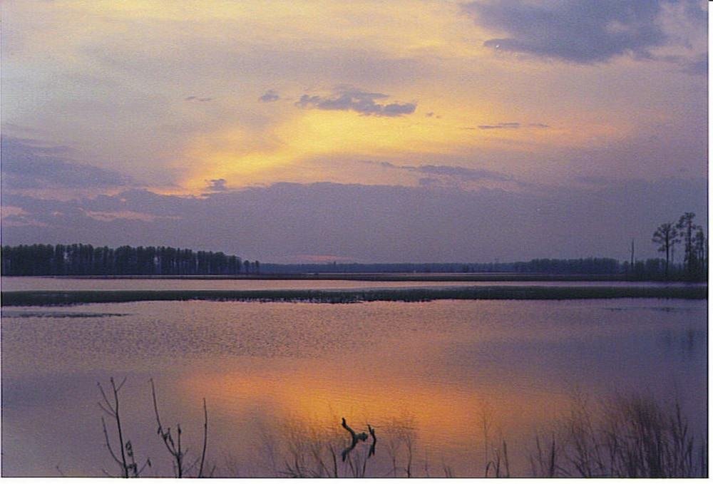 Blackwater National Wildlife Refuge