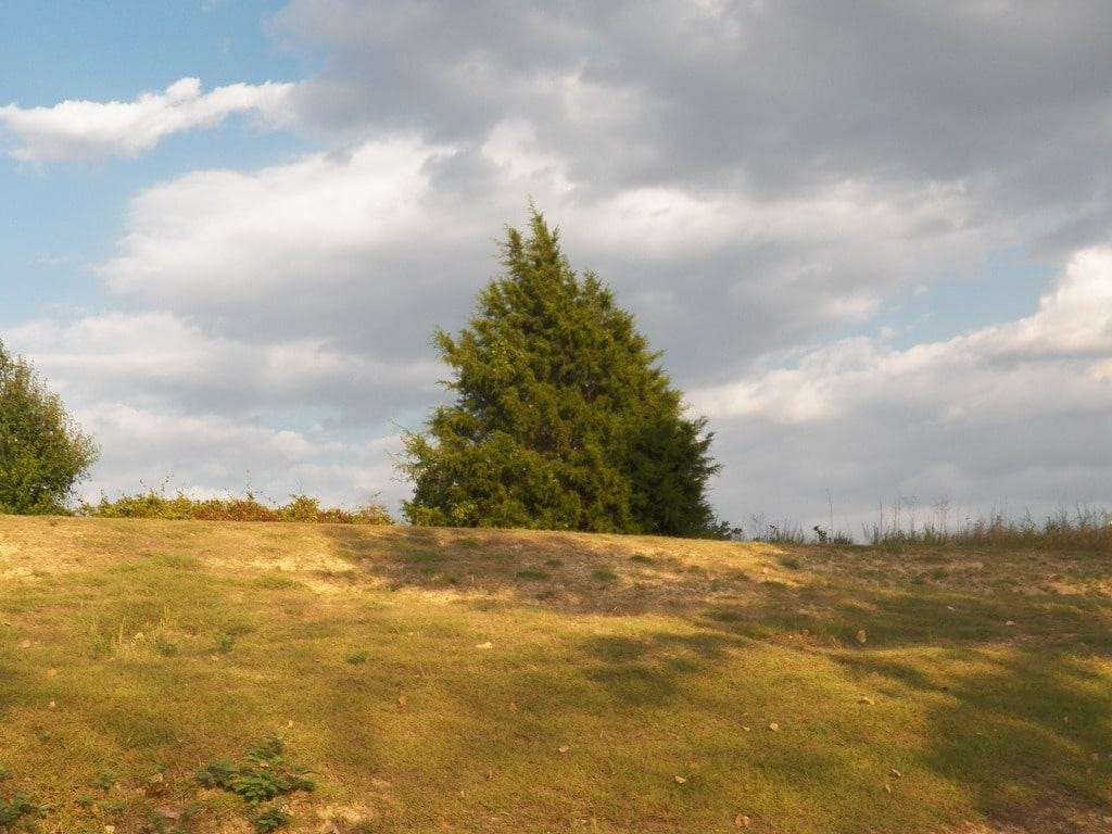 Breckinridge Park
