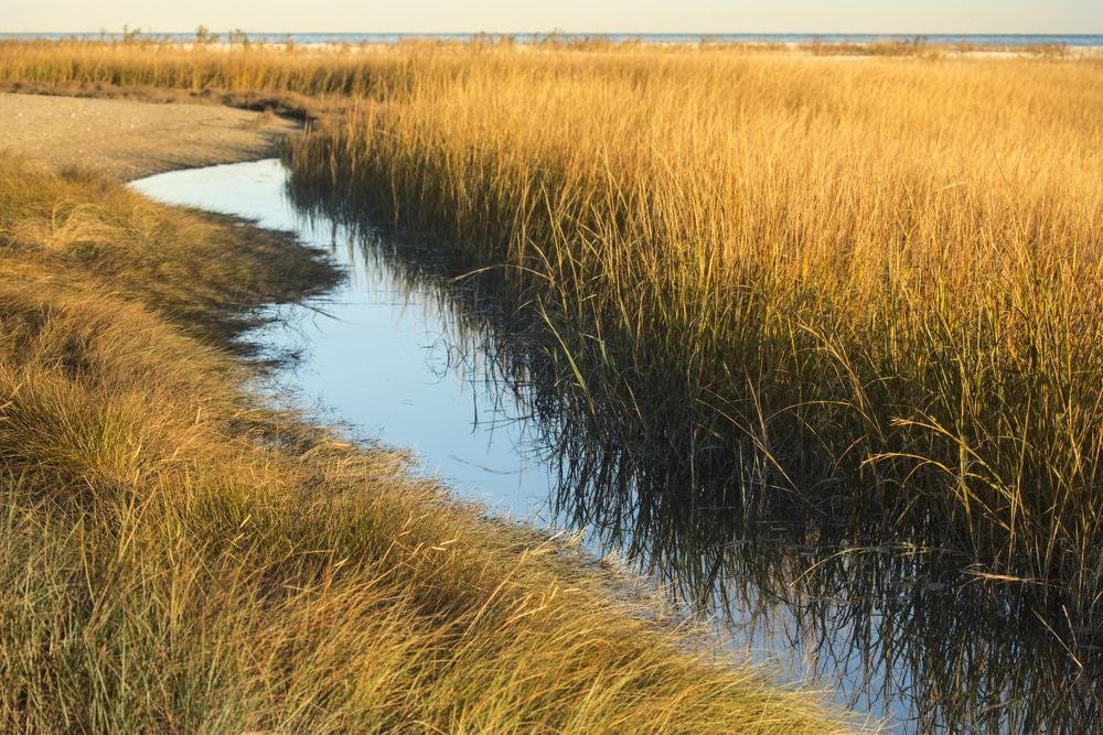 Connecticut Audubon Society Coastal Center