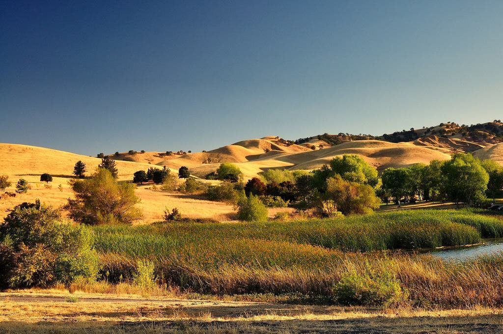 Contra Loma Regional Park