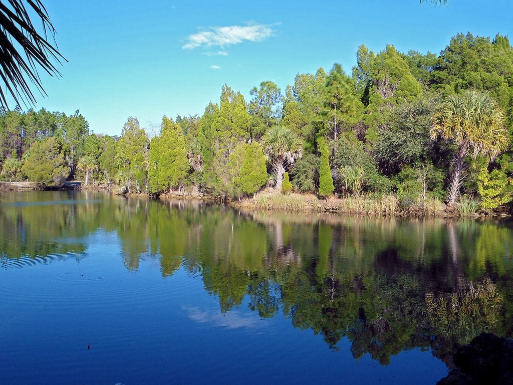 Crystal River State Park