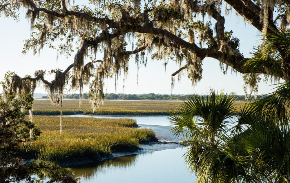 Marsh on Cumberland Island, Georgia