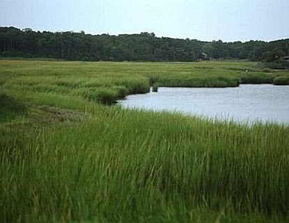 Farm River State Park
