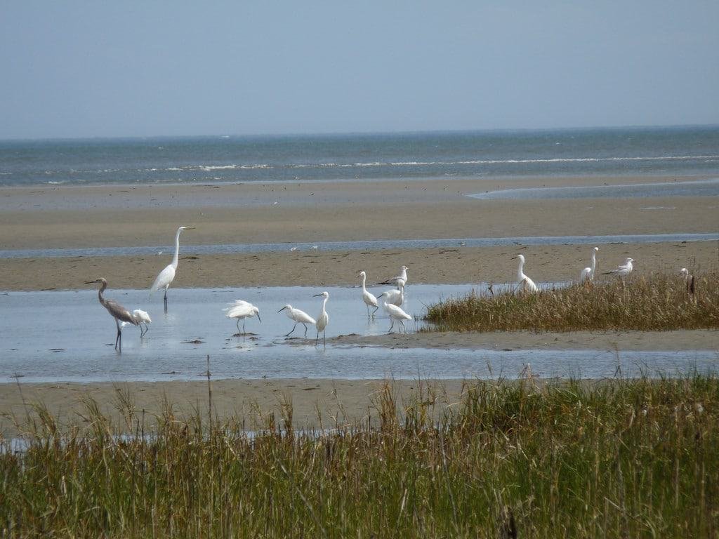 Hilton Head, South Carolina