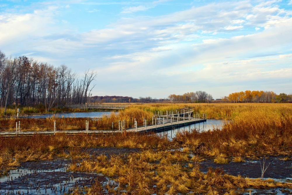 Horicon Marsh, Wisconsin