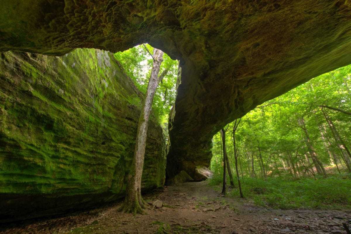 Mantle Rock Nature Preserve