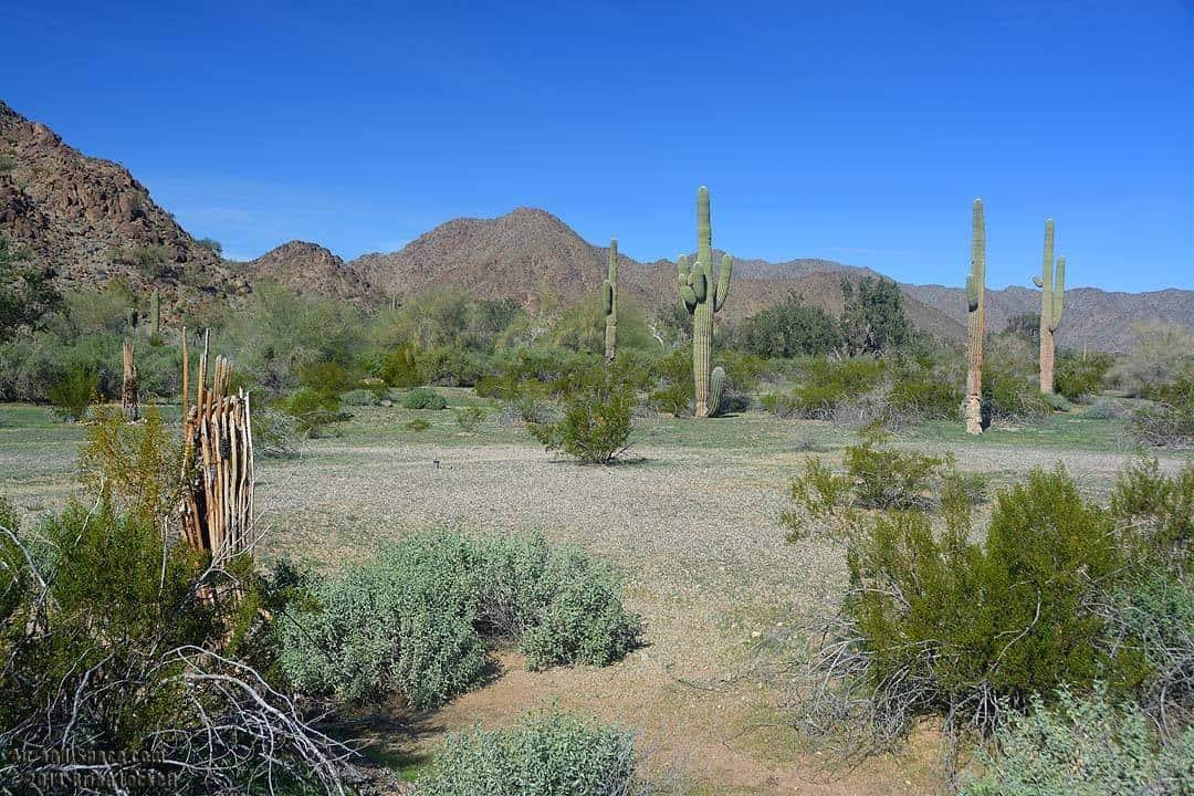 Margieβs Cove Trail