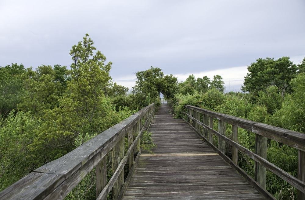 Meaher State Park