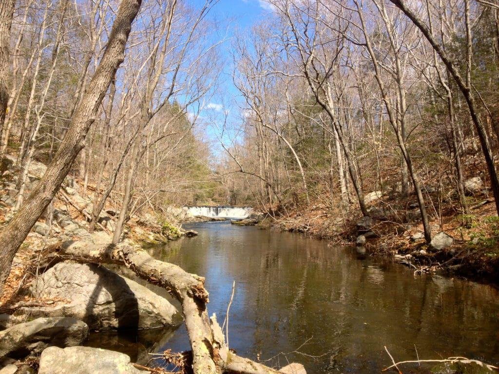 Mianus River Park