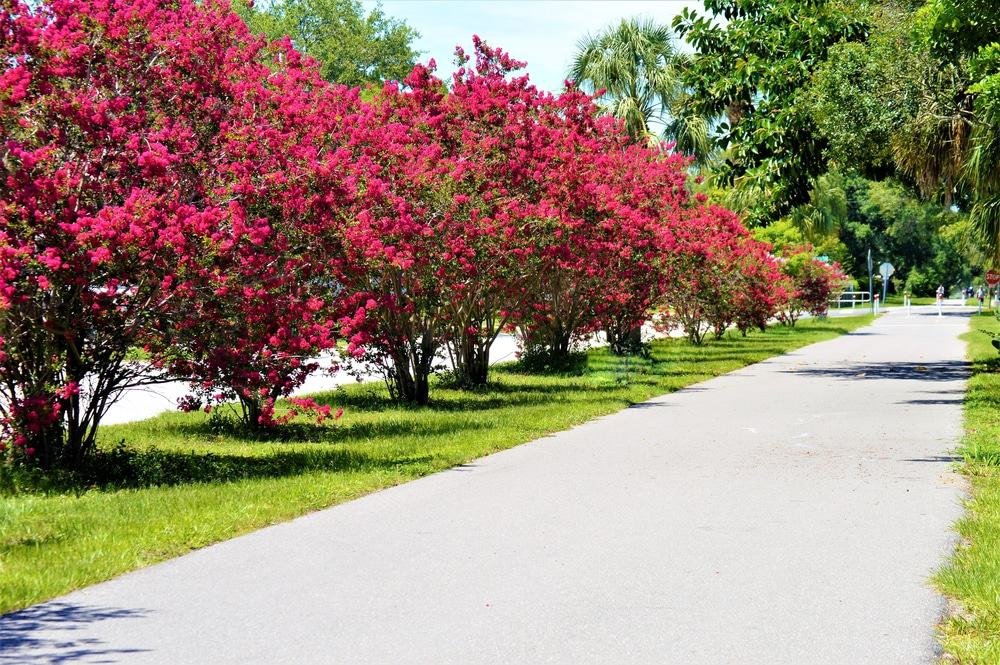 Pinellas Trail