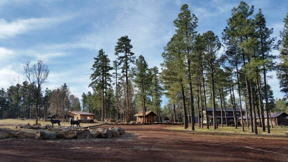 Pinetop Lakes Activity Center & Stables