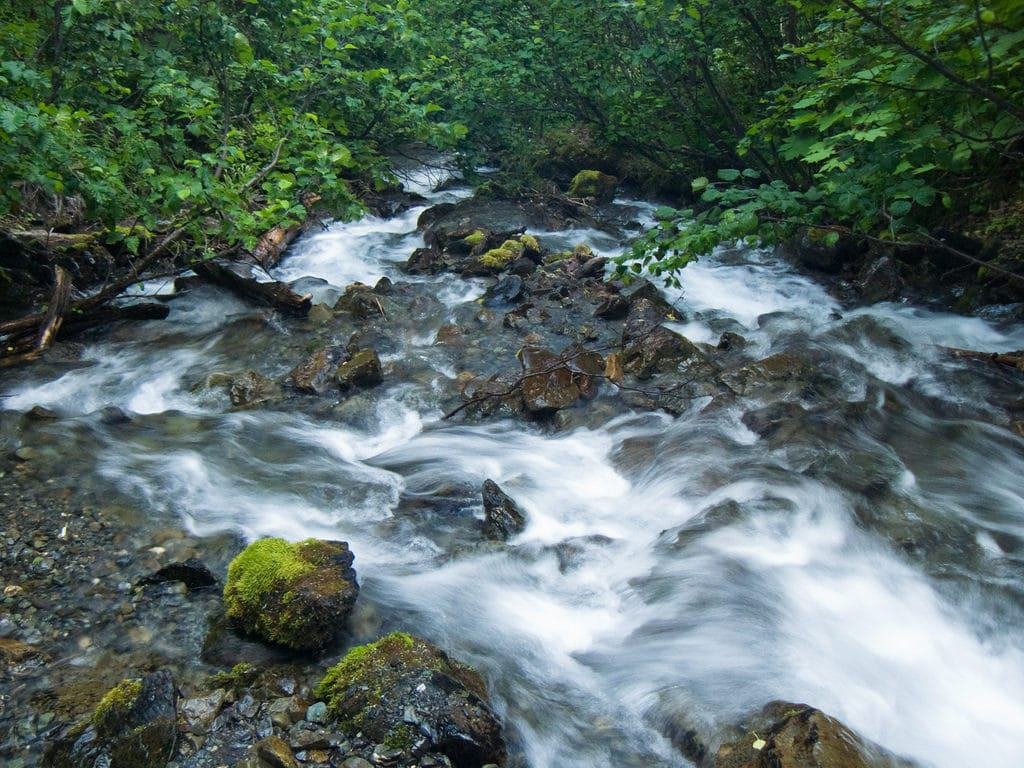 Pioneer Falls, Palmer