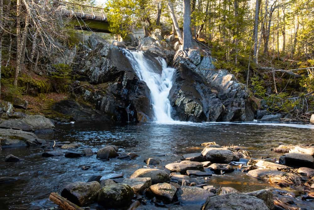Poplar Stream Falls