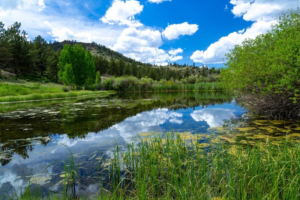 San Isabel National Forest