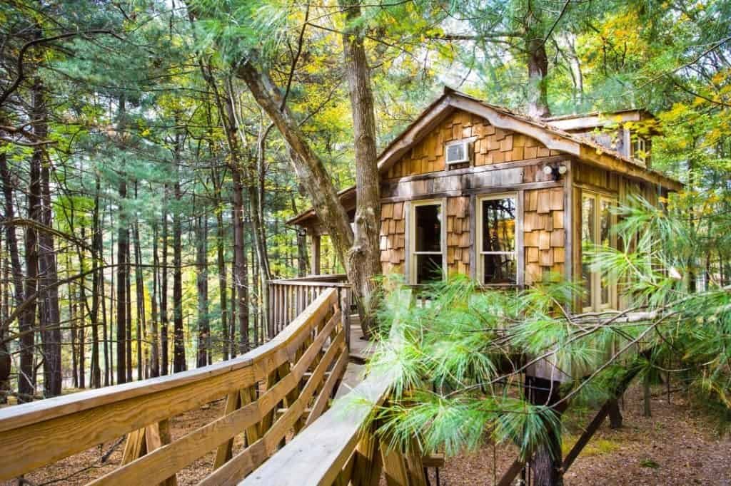 Old Pine Treehouse