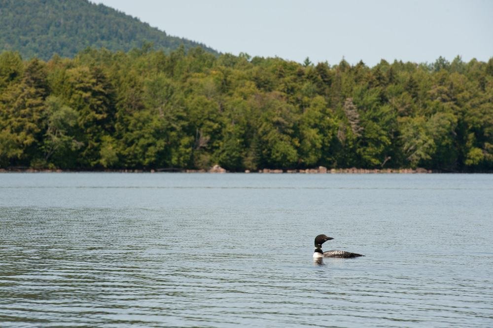 Umbagog Lake, New Hampshire