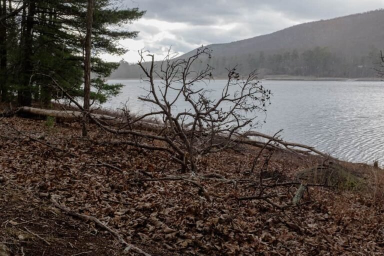 Warden Lake, West Virginia
