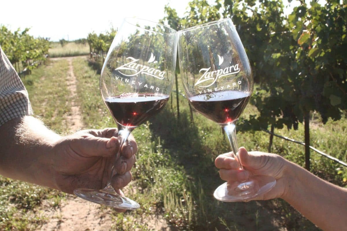 Zarpara Vineyard