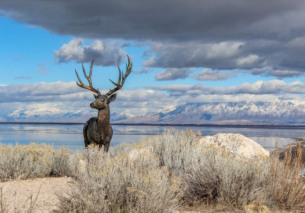 Antelope Island
