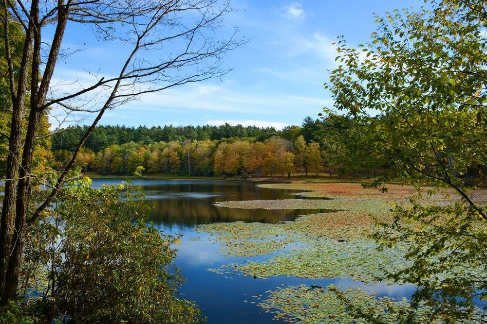 Bass Lake, North Carolina