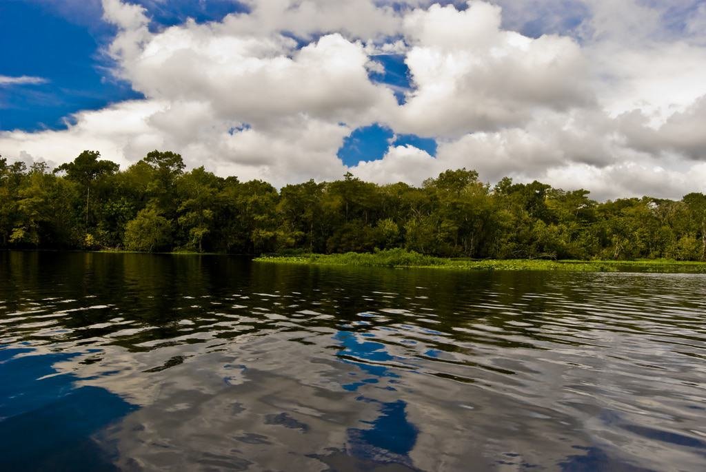 Blue Spring