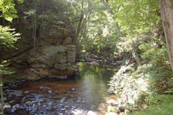 Cotton Hollow Preserve