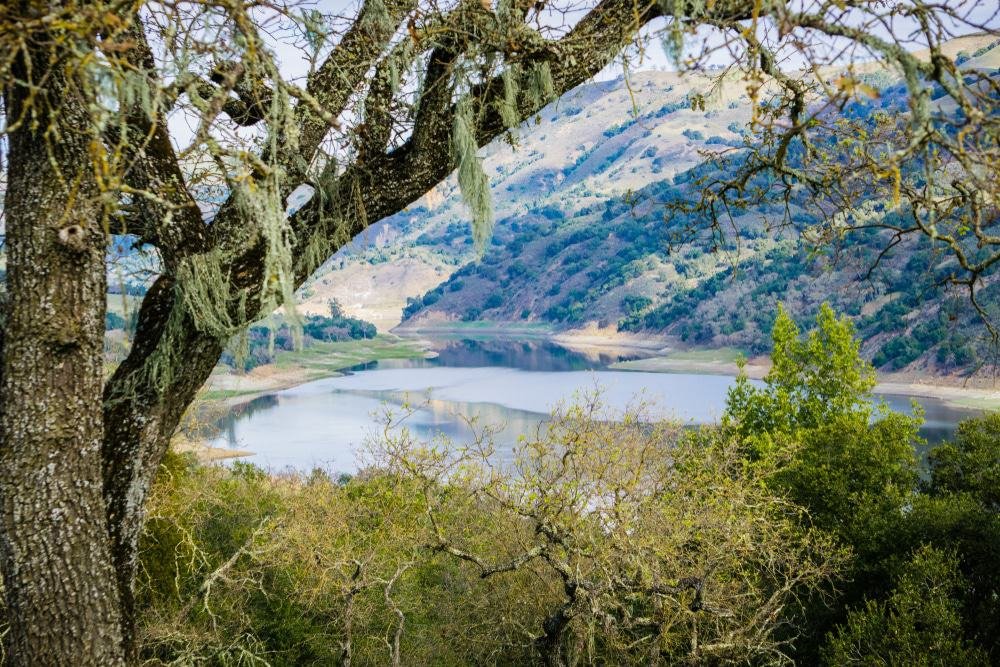 Coyote Lake