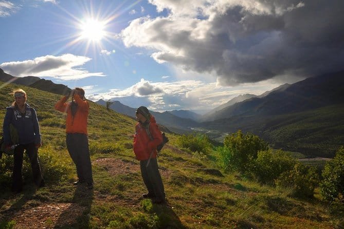 Denali Wilderness Tour