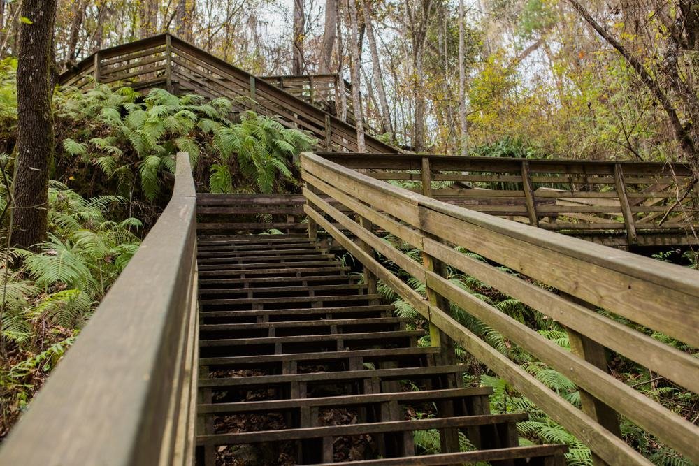 Devil's Millhopper Geological State Park, Gainesville