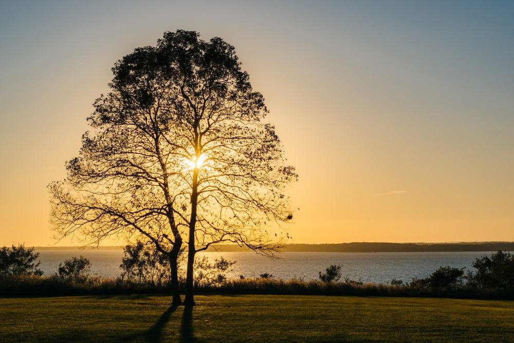Elk Neck State Park, Maryland