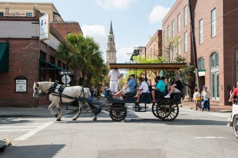 Evening Carriage Tour Of Downtown Charleston