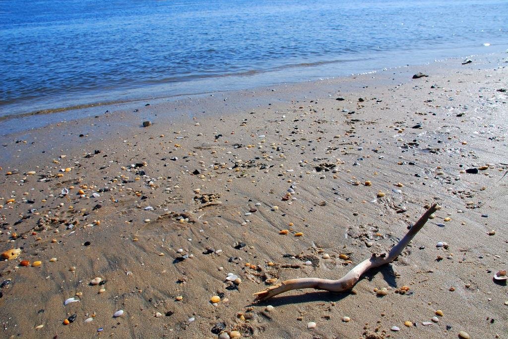 Fisherman’s Cove