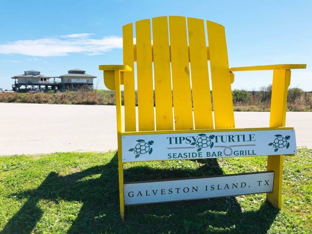 Galveston Pocket Park 2, The Tipsy Turtle