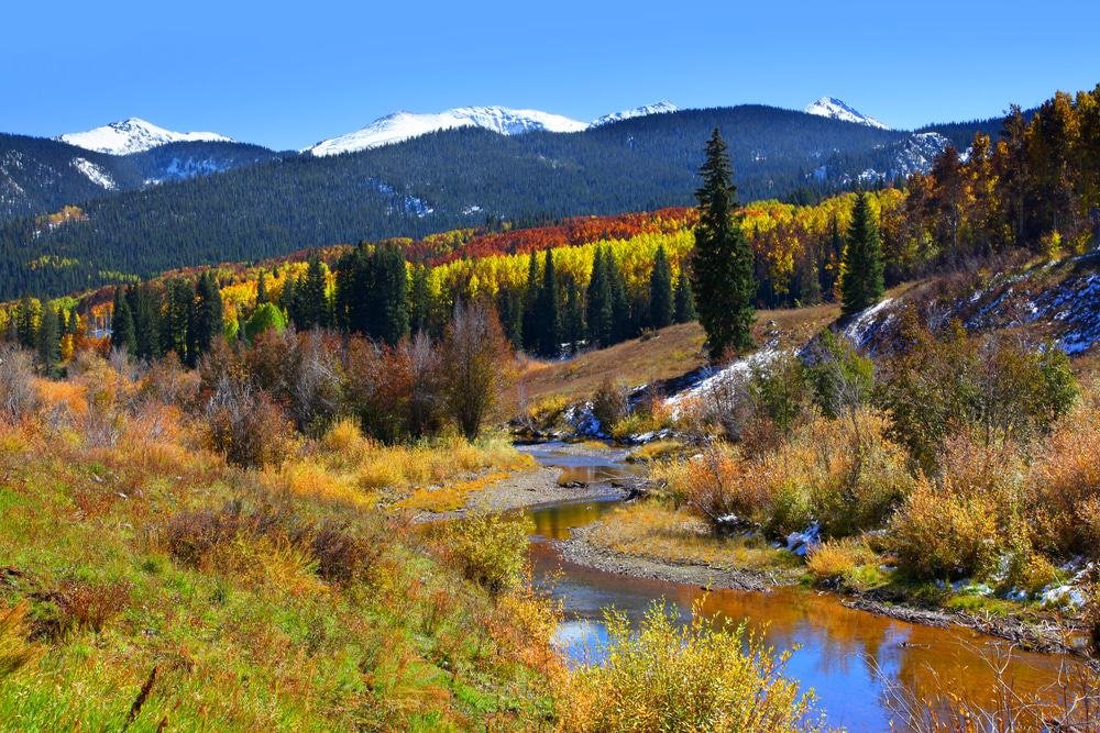 Gunnison National Forest