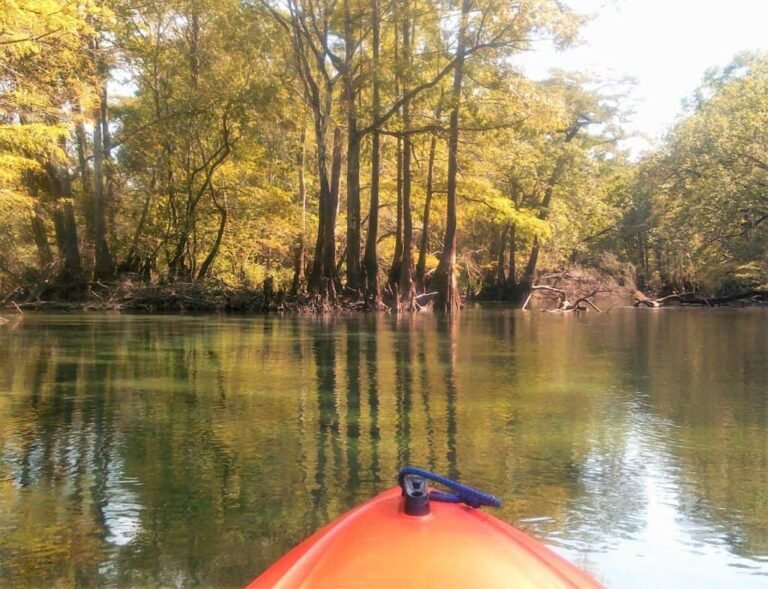 Holmes Creek Paddling Trail