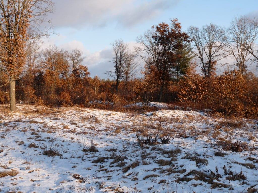 Indian Mounds, Wisconsin