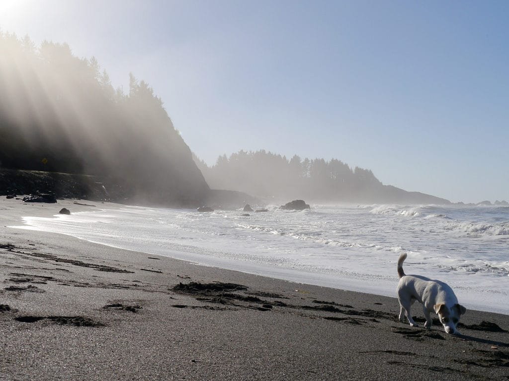 False Klamath Cove