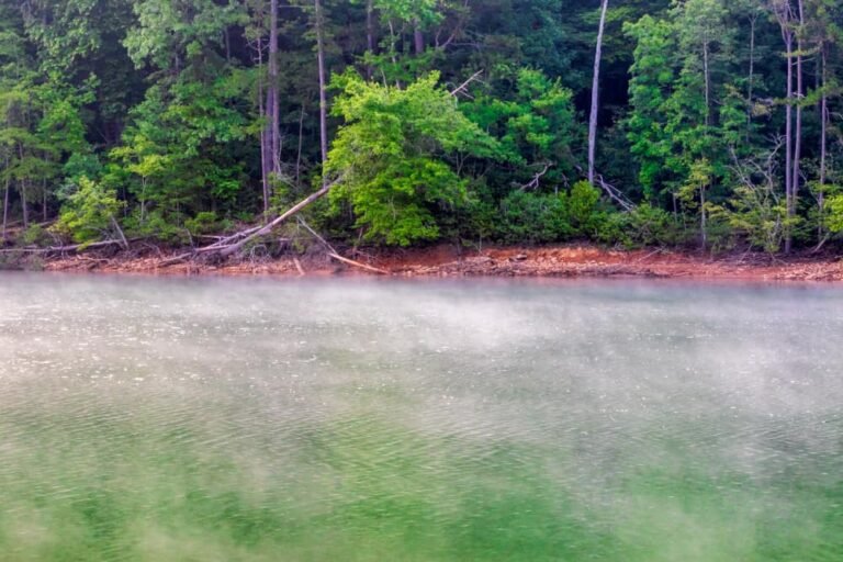 Lake Nottely