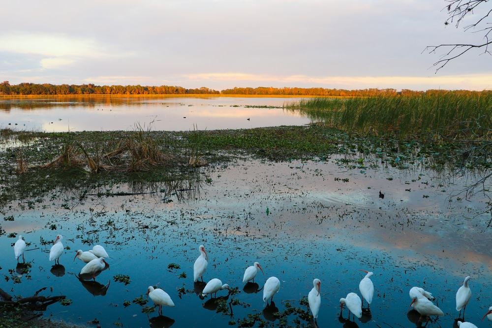 Lake Parker