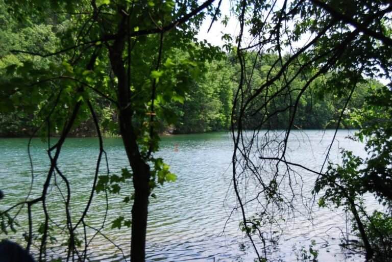 15 Best Lakes in Maryland